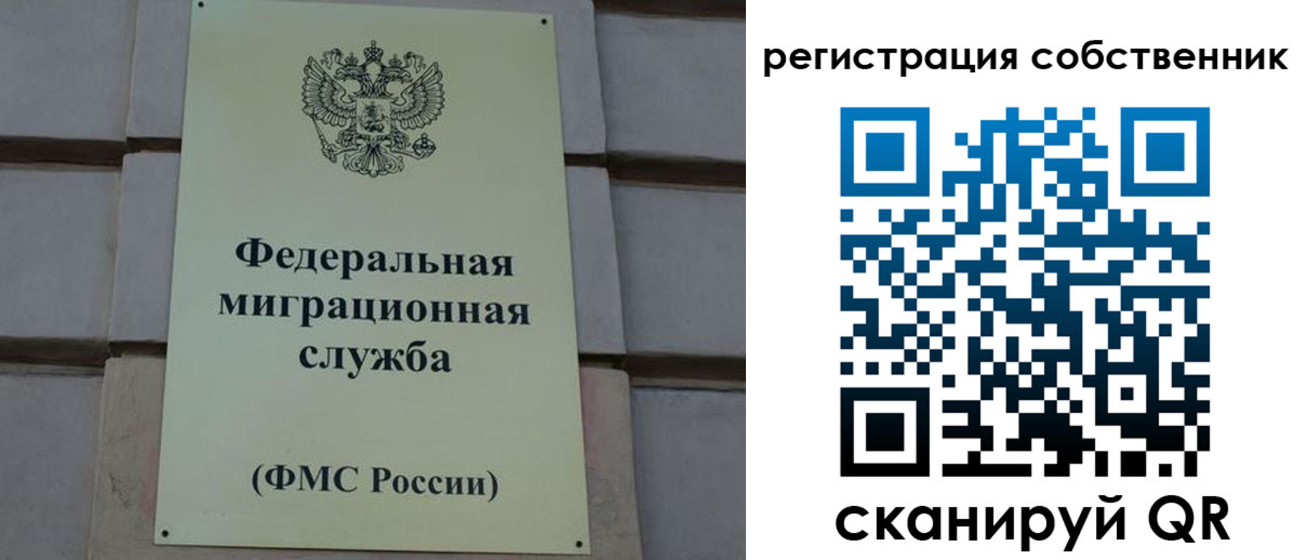 прописка гарантия в Чебоксарах